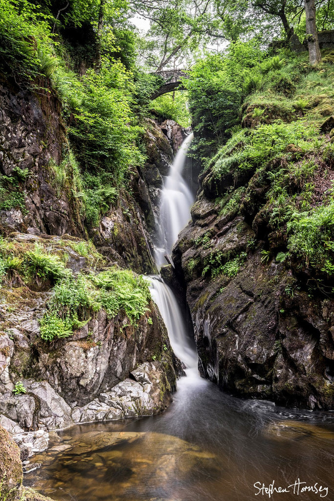 Aira Force