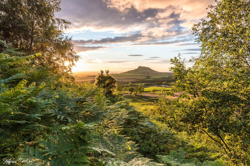 A Summer Evening at Gribdale Gate