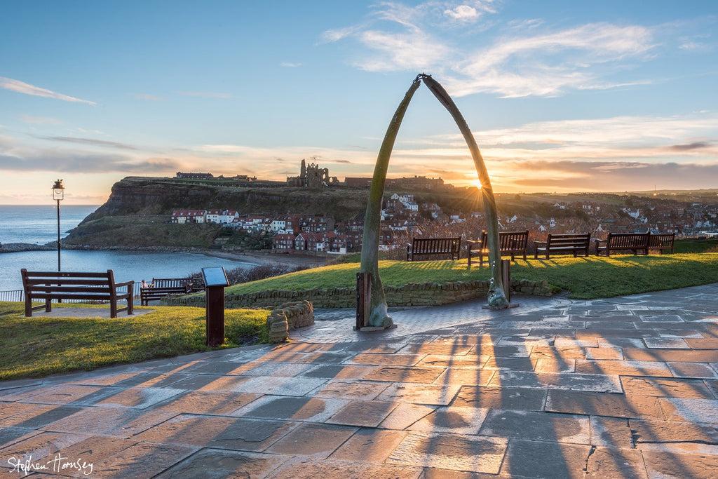 Whitby Whale Bones