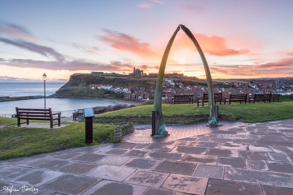 Whale Bone Dawn