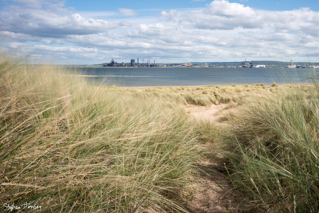 North Gare Sands