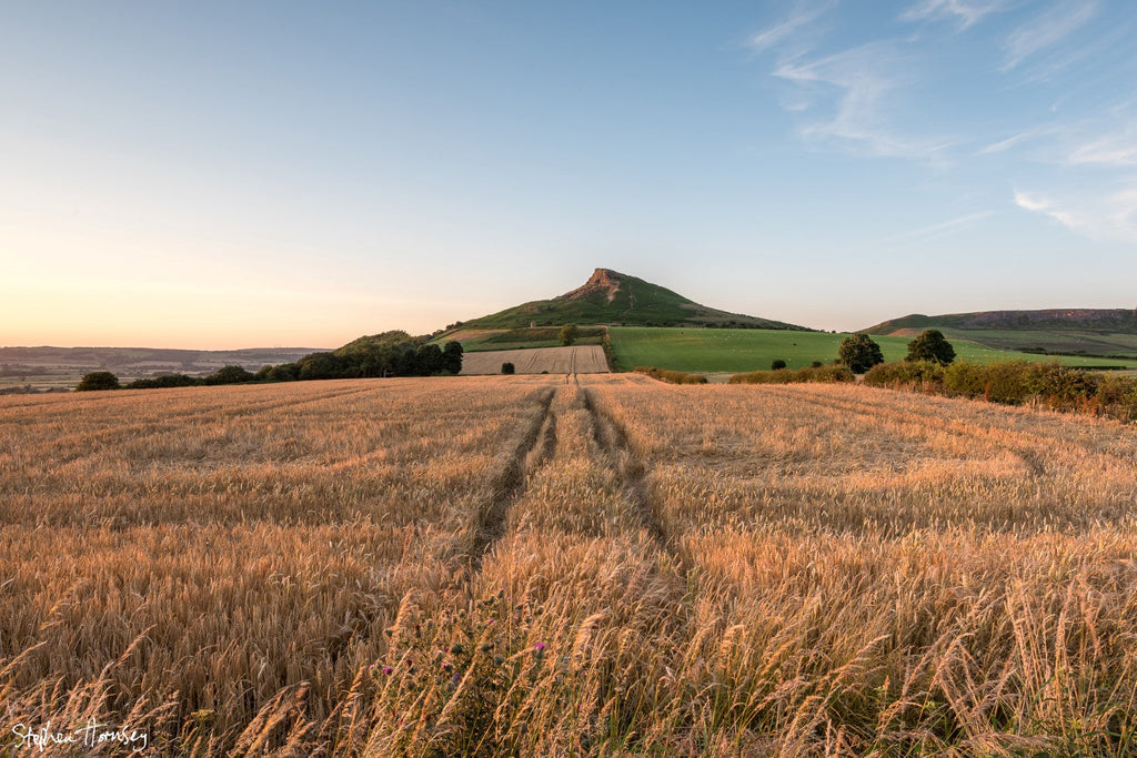 Golden Fields