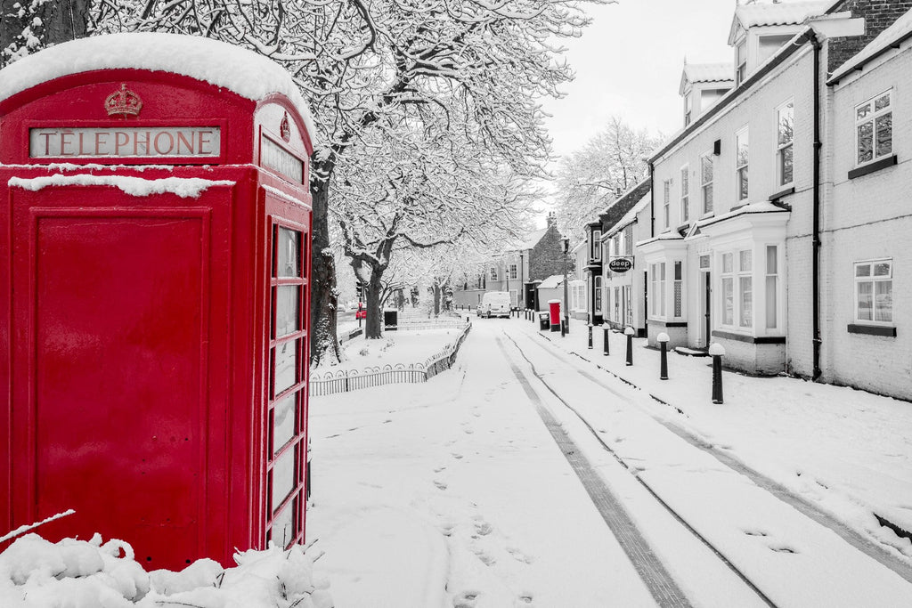Blanketed by Snow