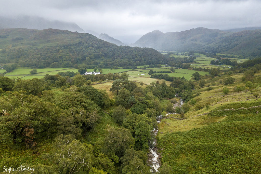 Lakeland Perspective