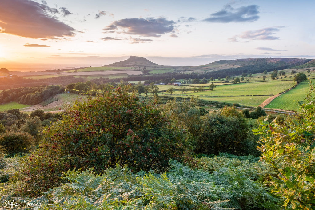 Summer on Ayton Banks