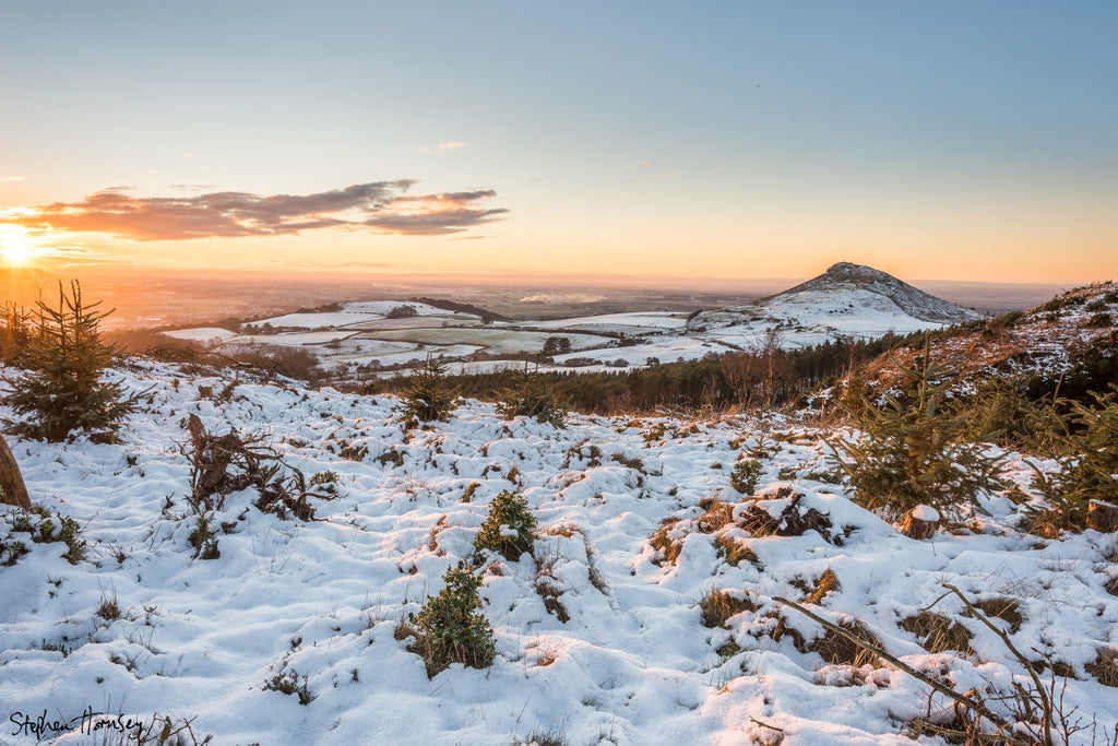 Winter Wonderland