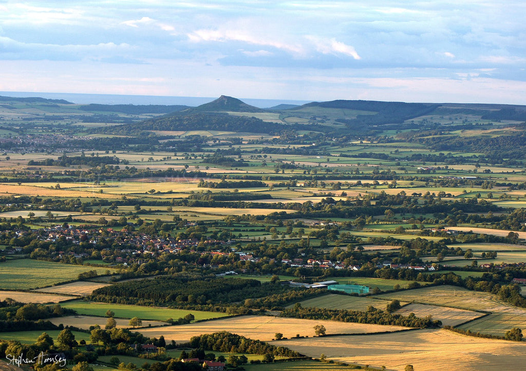 Roseberry from Carlton Bank