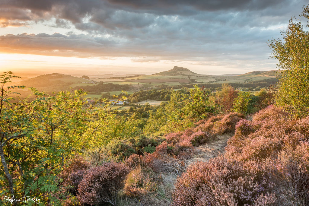 Roseberry from Cockshaw Hill (2022)