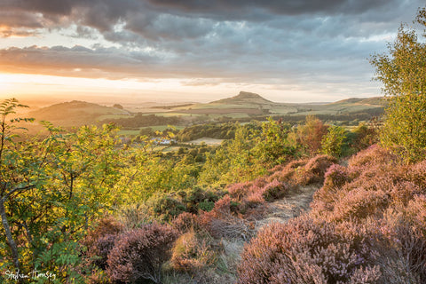 Roseberry from Cockshaw Hill (2022)