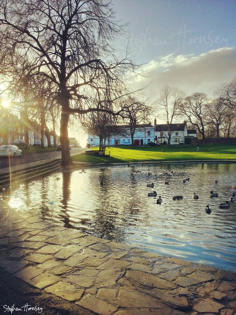 Winter Light