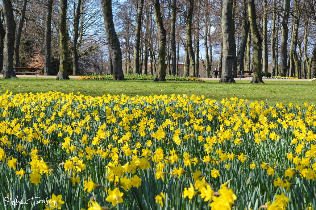 Spring has Sprung