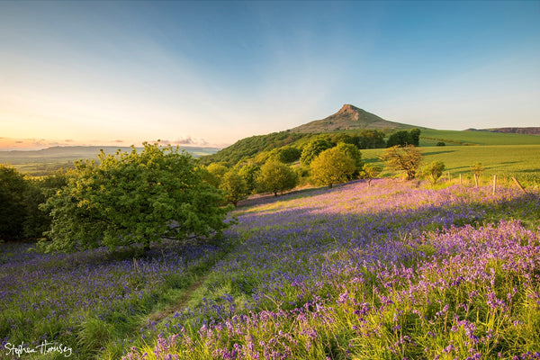 North York Moors National Park