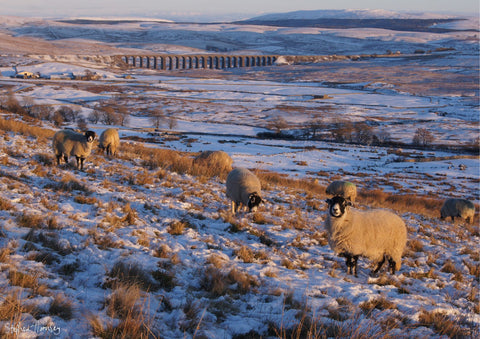 A Winter's Evening on Whernside