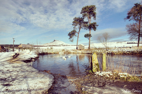 Aireyholme Pond