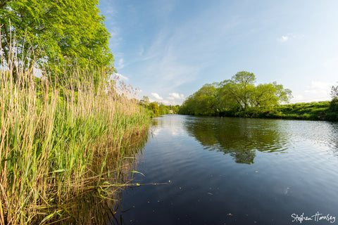 By the Tees at Yarm
