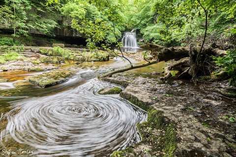Walden Beck