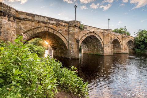 Summer by the Tees at Yarm