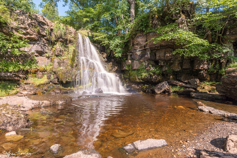 East Gill Force