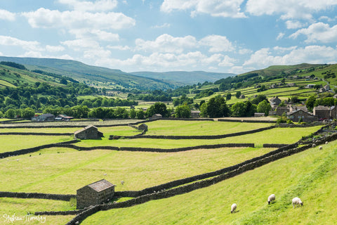 Summer in Swaledale