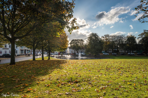 Autumn in Norton