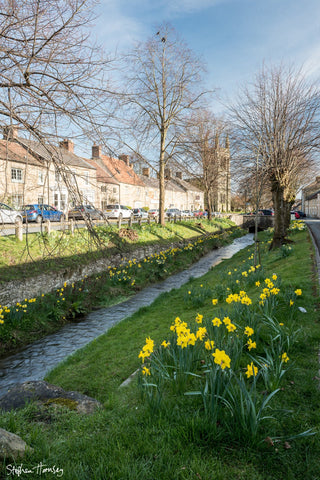 Spring in Helmsley