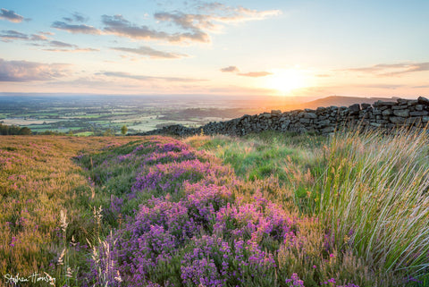 Summer on Kildale Moor