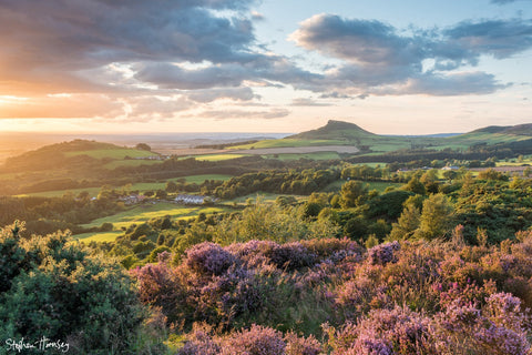 Summer on Cockshaw Hill