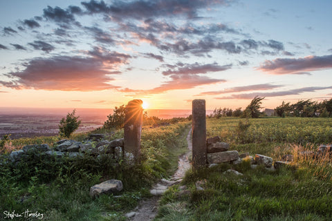The Old Gate Posts