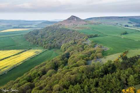 Above Newton Wood