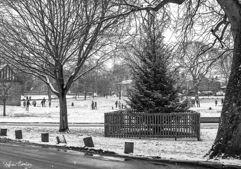 Snow Day!