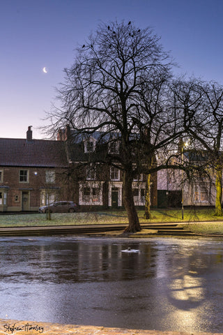 Twilight on The Green
