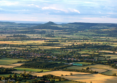 Roseberry from Carlton Bank