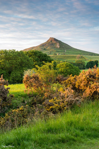 Roseberry from Newton Wood