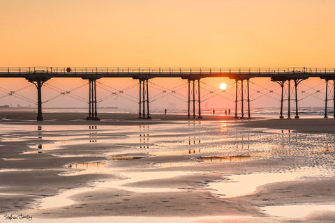 Summer Evenings on the Beach