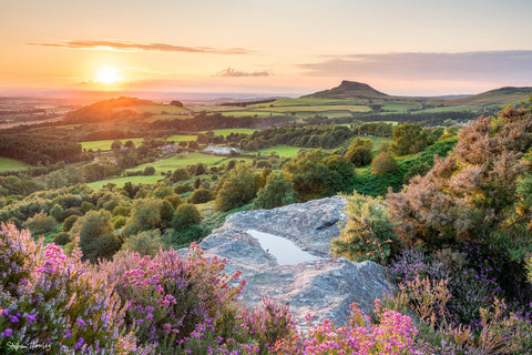 Roseberry from Cockshaw Hill (2021)