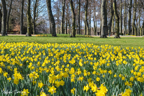 Spring has Sprung