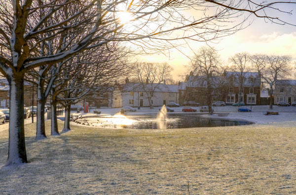 Blanketed by Snow