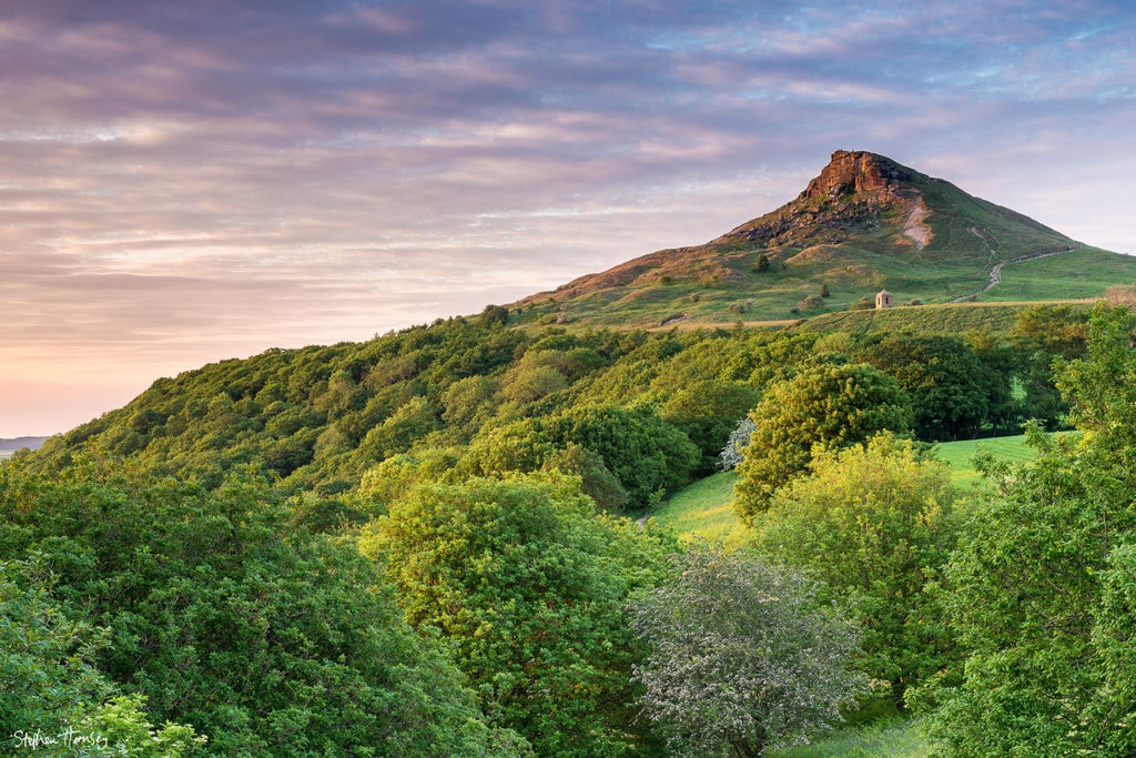 A Summer's Evening at Roseberry Topping