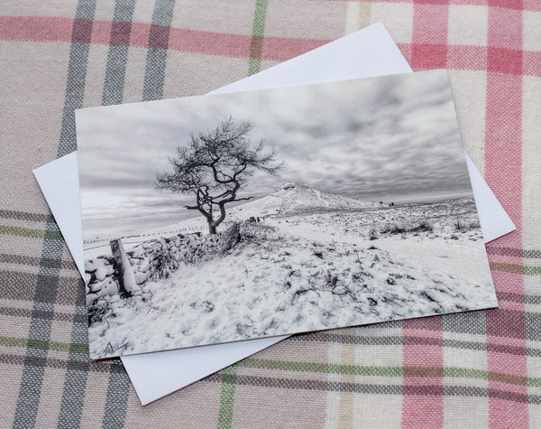 Blanketed by Snow